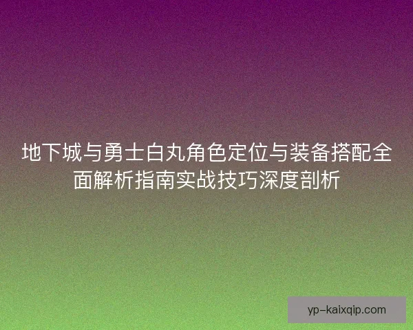 地下城与勇士白丸角色定位与装备搭配全面解析指南实战技巧深度剖析